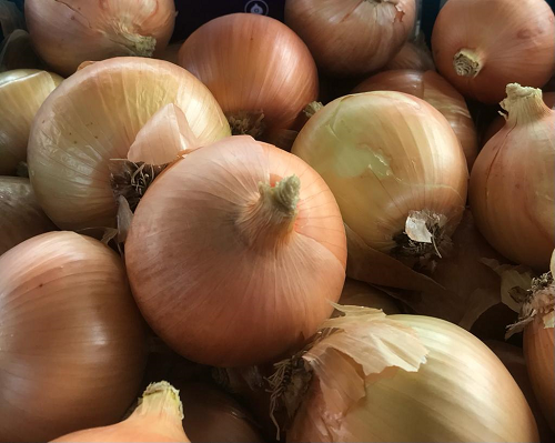 bunchingonion2