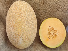 Melon