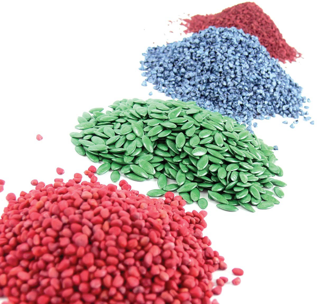 seed